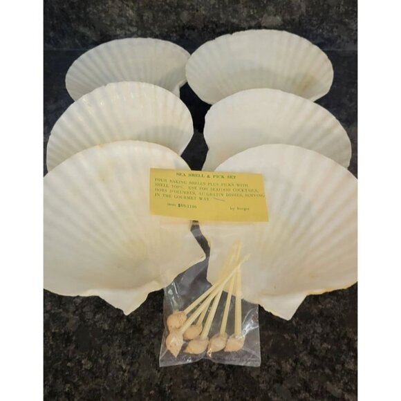 Natural Scallop Seashells & Toothpicks Appetizers Baking Lot of 6 - Picture 1 of 10